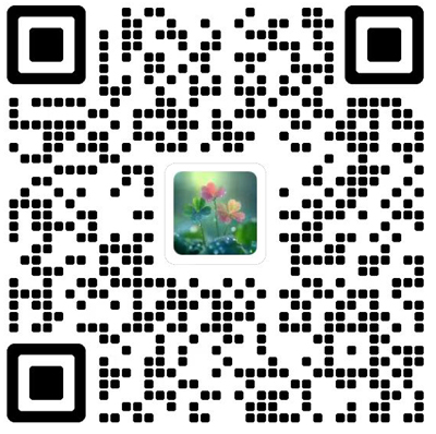 Chinese Physics B杂志模板